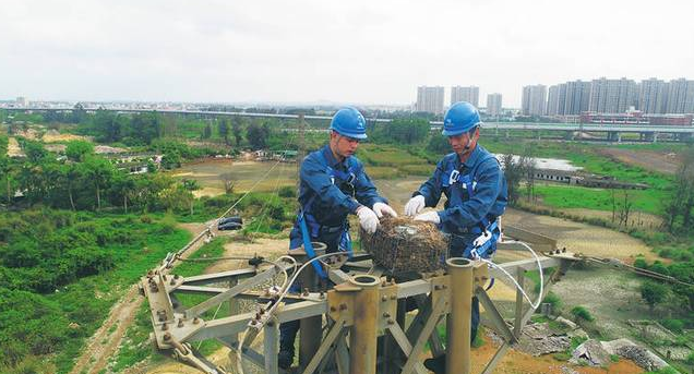 保護生態和諧共生，IKAR防墜器出一份力！